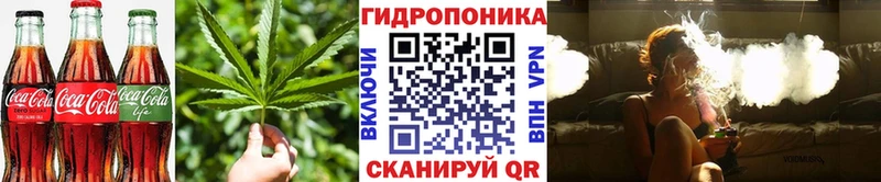 blacksprut зеркало  дарнет шоп  Солнечногорск  Еда ТГК марихуана 