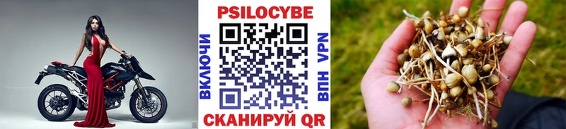 hydra как зайти  Солнечногорск  Псилоцибиновые грибы мухоморы 